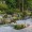 Outdoor Living - Xeriscaped Landscape Design Beautifies North Saanich Home